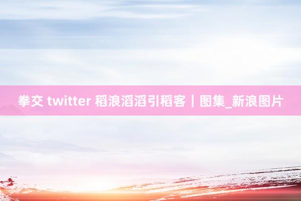 拳交 twitter 稻浪滔滔引稻客|图集_新浪图片
