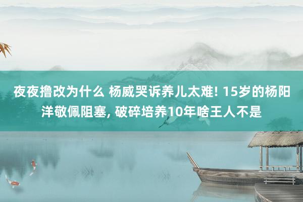 夜夜撸改为什么 杨威哭诉养儿太难! 15岁的杨阳洋敬佩阻塞， 破碎培养10年啥王人不是