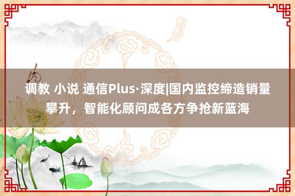 调教 小说 通信Plus·深度|国内监控缔造销量攀升，智能化顾问成各方争抢新蓝海