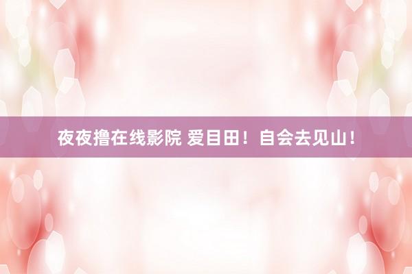 夜夜撸在线影院 爱目田！自会去见山！