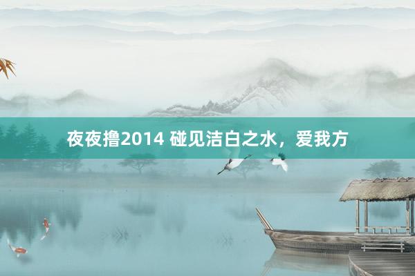 夜夜撸2014 碰见洁白之水，爱我方