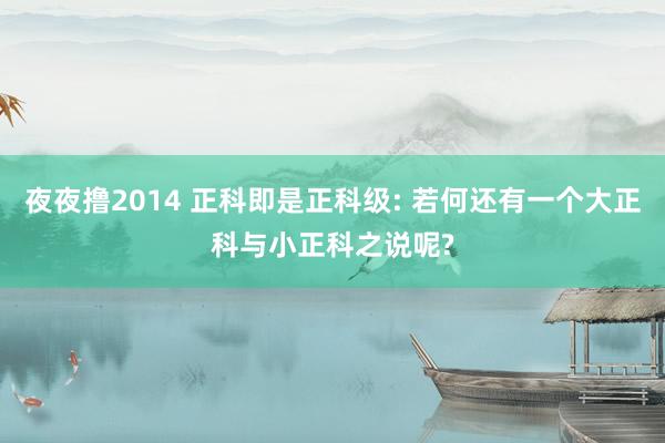 夜夜撸2014 正科即是正科级: 若何还有一个大正科与小正科之说呢?