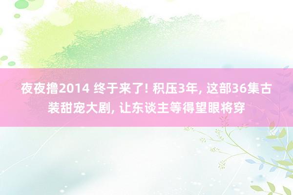 夜夜撸2014 终于来了! 积压3年， 这部36集古装甜宠大剧， 让东谈主等得望眼将穿